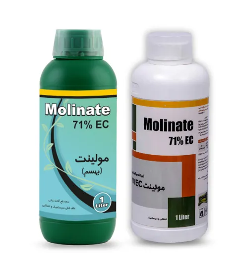 مولينات